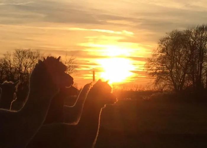 Spreewald-ferienwohnung Reschke/jahn Lägenhet