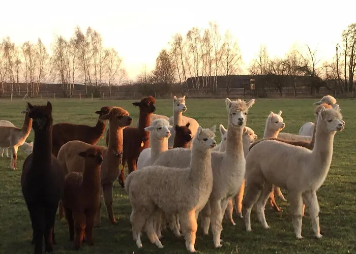 Spreewald-ferienwohnung Reschke/jahn Lägenhet