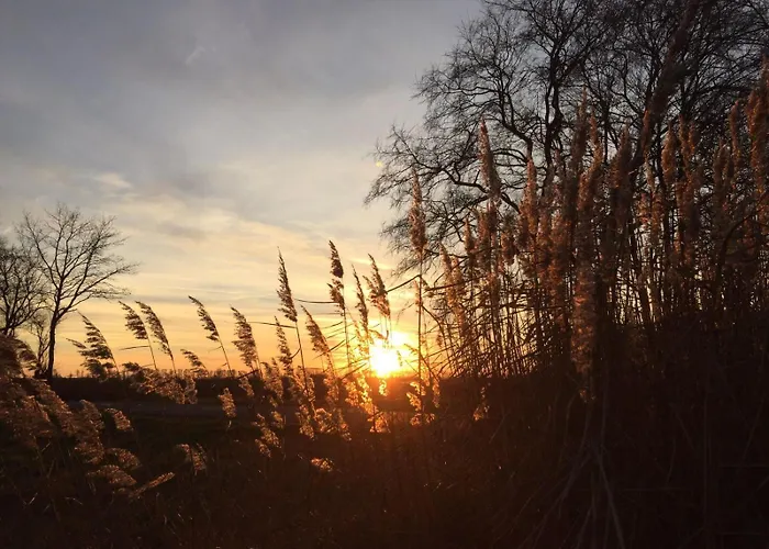 Spreewald-ferienwohnung Reschke/jahn Radensdorf